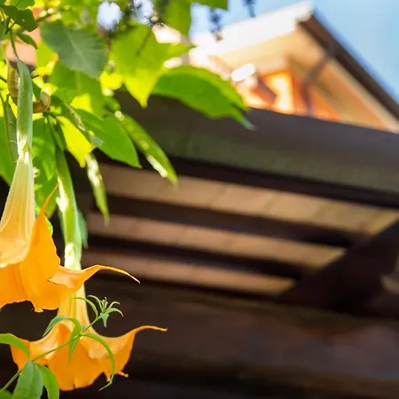 La Gradina Bed & Breakfast 3*