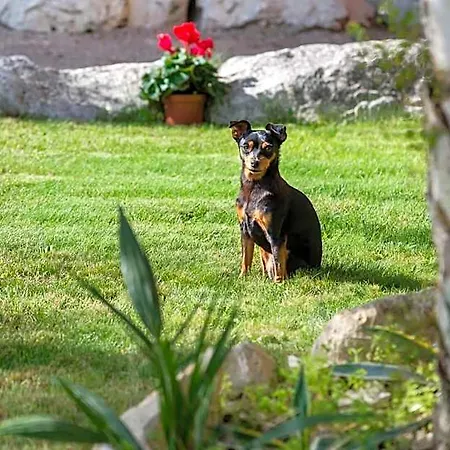 La Gradina Bed & Breakfast Osimo